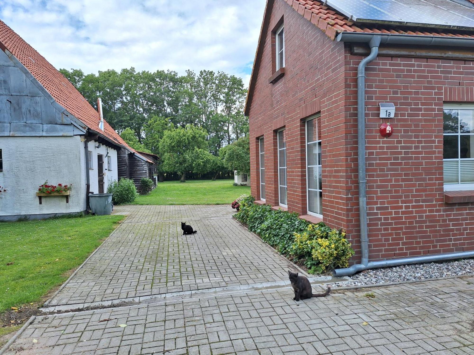 Das Apfelhaus Rappin Exterior foto
